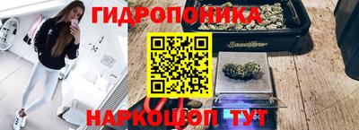 дмт Ижевск