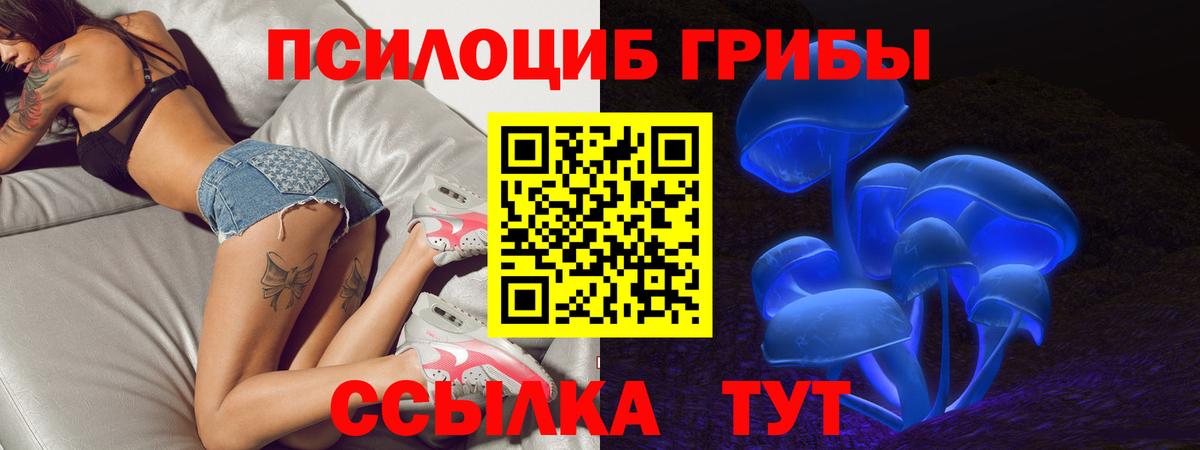 Псилоцибиновые грибы Cubensis  Вход с VPN  Белебей 